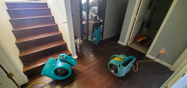 Best Flood restoration services  in Fern Park, FL