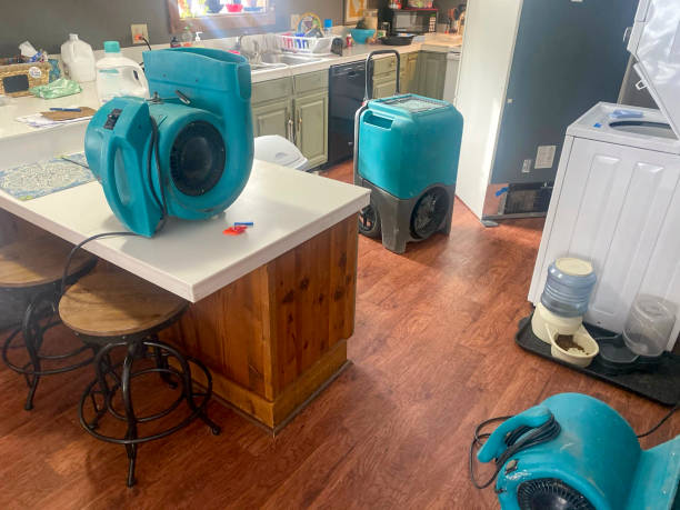 Best 24-hour water damage restoration  in Fern Park, FL