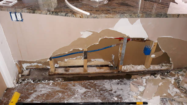 Best Professional water damage repair  in Fern Park, FL