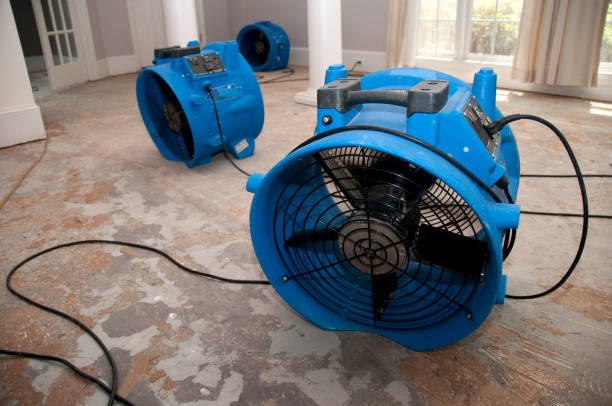 Best Water damage cleanup near me  in Fern Park, FL