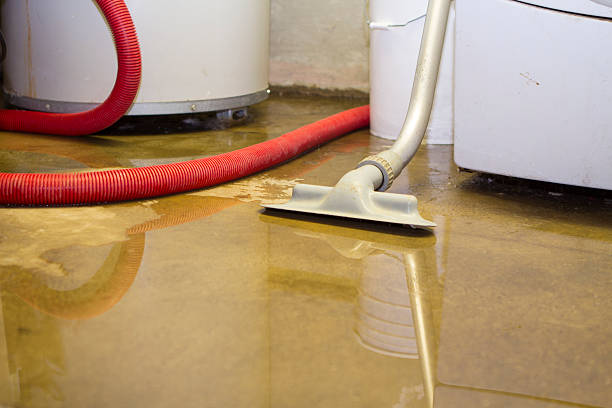 24/7 water damage repair in FL