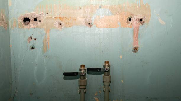 Best 24-hour water damage restoration  in Fern Park, FL