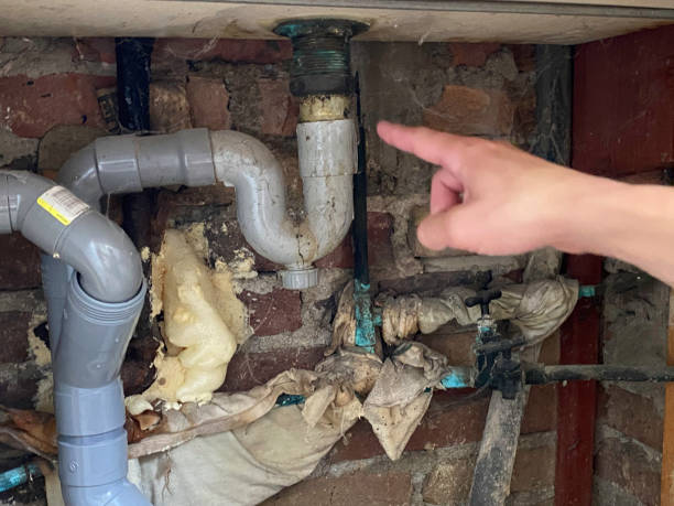 Best Water damage mitigation services  in Fern Park, FL