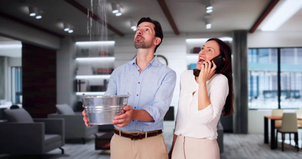 Best Local water damage restoration  in Fern Park, FL